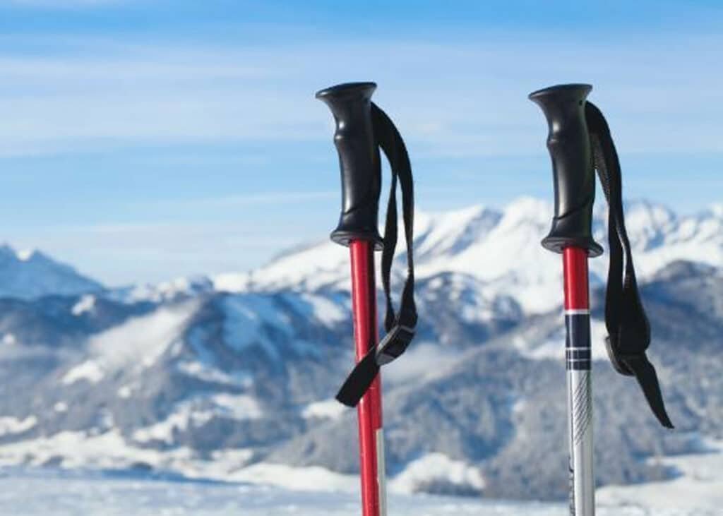 Zipline Blurr 16.0 Graphite Composite Ski Pole Review